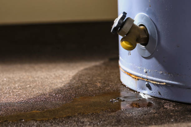 Best Carpet water damage restoration  in Itasca, TX