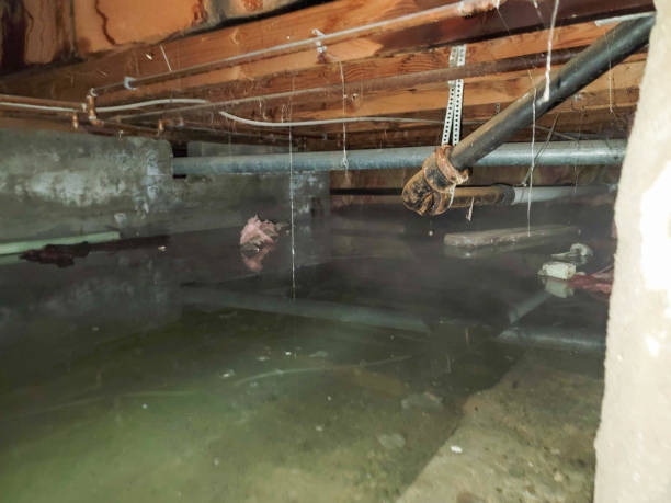 Best Residential water damage restoration  in Itasca, TX
