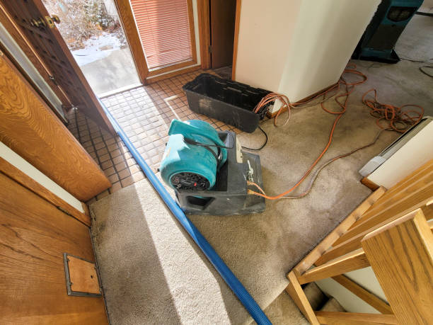 Best Water damage cleanup near me  in Itasca, TX