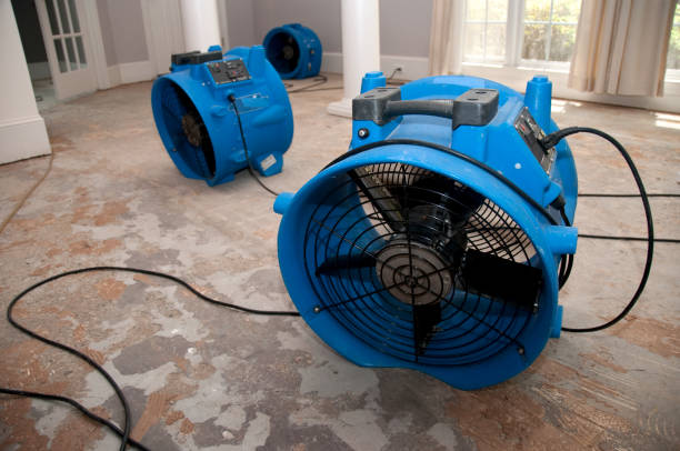 Best 24/7 water damage repair  in Itasca, TX